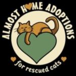 Refugios de animales en Colorado 10 Almost home adoptions for rescued cats