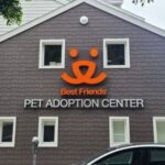 Best friends pet adoption center