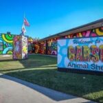 Carson animal shelter