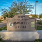 County of los angeles department of animal care and control - downey animal care center