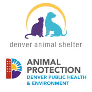Refugios de animales en Denver 3 Denver animal shelter