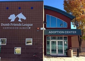 Refugios de animales en Denver 2 Dumb friends league - leslie a. malone center