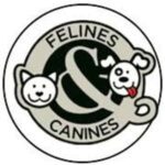 Felines & canines