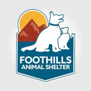 Refugios de animales en Denver 11 Foothills animal shelter