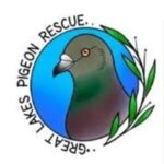 Great lakes pigeon rescue
