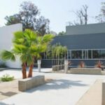 Harbor animal care center