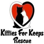 Kitties for keeps rescue