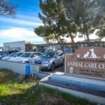 Los angeles county animal care and control