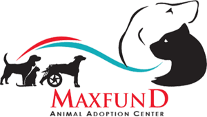 Refugios de animales en Denver 4 Maxfund animal adoption center