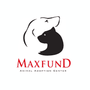 Refugios de animales en Denver 6 Maxfund dog shelter
