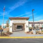 Palmdale animal care center