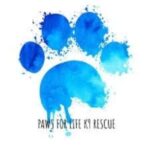 Refugios de animales en Colorado 7 Paws for life