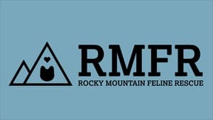 Refugios de animales en Denver 5 Rocky mountain feline rescue
