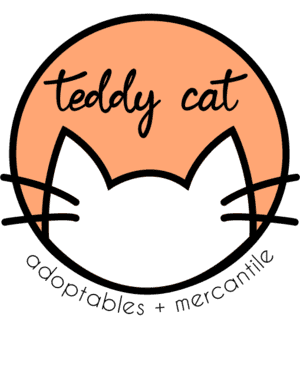 Refugios de animales en Denver 7 Teddy cat cafe