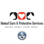 Refugios de animales en Florida 10 Animal care and protective services