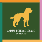 Refugio de animales en San Antonio TX | 2025 2 Animal defense league of texas