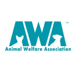 Refugio de animales en New Jersey 5 Animal welfare association