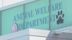 Animal welfare department