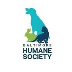 Mejores refugios de animales en Maryland en 2025 5 Baltimore humane society