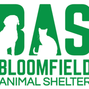 Bloomfield animal shelter