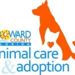 Refugios de animales en Florida 7 Broward county animal care and adoption center
