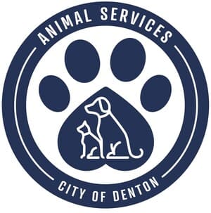 City of denton animal services
