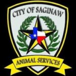 City of saginaw animal services and adoption center