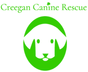 Refugios en Orange County, FL 5 Creegan canine rescue