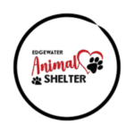 Refugios en Orange County, FL 3 Edgewater animal shelter
