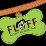 Refugio de animales en Tampa 5 Fluff animal rescue