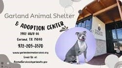 Garland animal shelter & adoption center