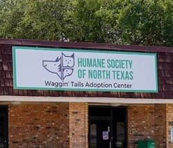 Hsnt waggin' tails adoption center
