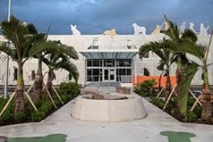 logo Miami-dade animal services pet adoption & protection center