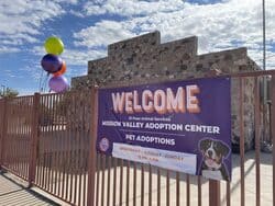 Mission valley adoption center-el paso animal services