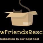Mejores refugio de animales en el Bronx, New York | 2025 7 Newfriendsrescue