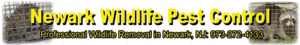 Newark wildlife pest control