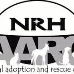 North richland hills animal adoption & rescue center