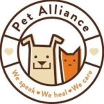 Pet alliance of greater orlando downtown cat shelter