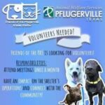 Pflugerville animal welfare services