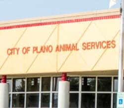 Plano animal services department