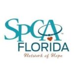 Refugio de animales en Tampa 7 Spca florida adoption center