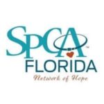 Refugios de animales en Florida 9 Spca florida adoption center