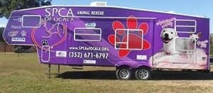 Refugios en Orange County, FL 9 Spca of ocala