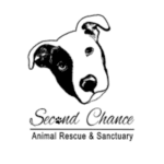Refugios en Orange County, FL 8 Second chance animal rescue and sanctuary