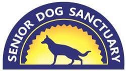 Mejores refugios de animales en Maryland en 2025 11 Senior dog sanctuary
