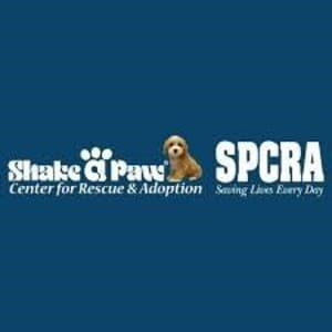 Shake a paw rescue and adoption center