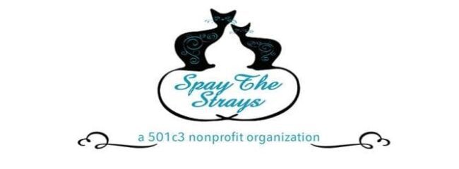 Spay the strays cat rescue