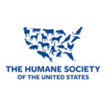 Refugios de animales en New York 8 The humane society