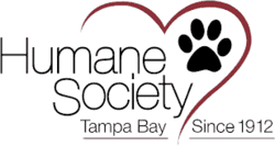 Refugio de animales en Tampa 3 The humane society of tampa bay